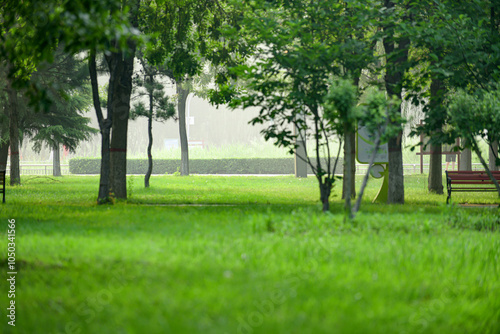 Urban parks, green spaces, forests, and wooden chairs for rest, creating a beautiful natural environment