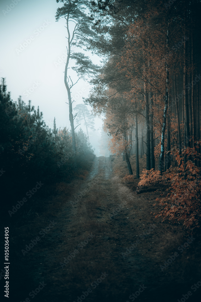 Naklejka premium Droga do mgły