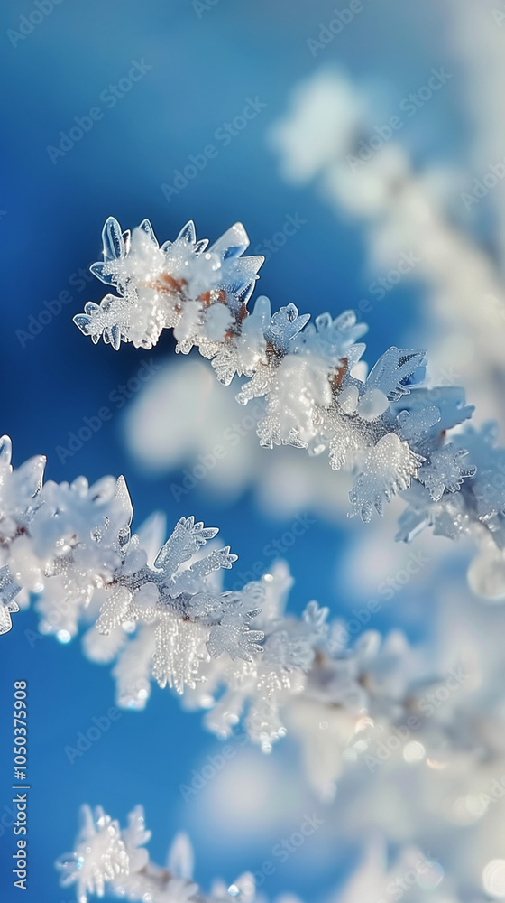 Close-up of sparkling snow crystals clinging to branches, capturing the essence of a cold winter day. Close-up of sparkling snow crystals clinging to branches, capturing the essence of a cold winter day.