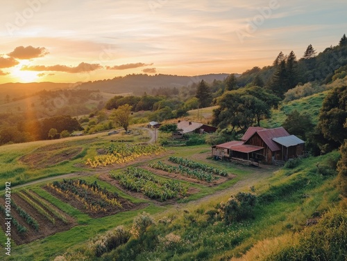 A regenerative farm using cover crops to protect soil, build organic matter, and prevent erosion, promoting sustainable farming. photo