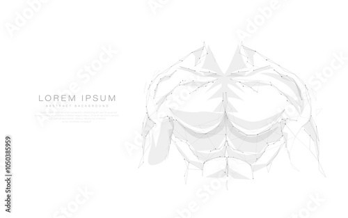 Abstract Geometric Muscle Structure Illustration on White Background