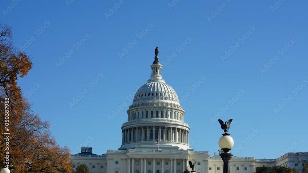 Naklejka premium The Washington DC city view with the Capitol Hill building as background in autumn