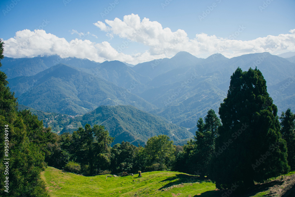 Naklejka premium Qingjing Skywalk