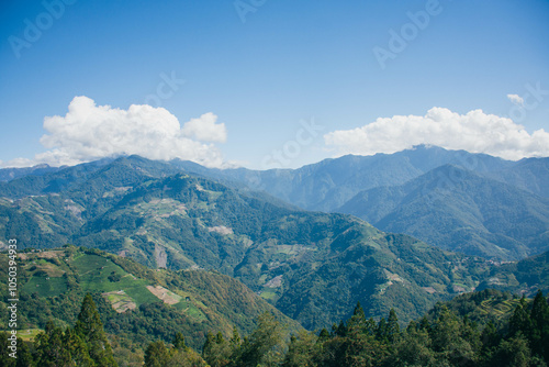 Qingjing Skywalk photo