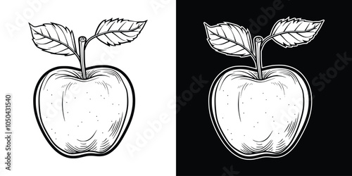 Retro vintage draw paint sketch in engraving style apple illustration