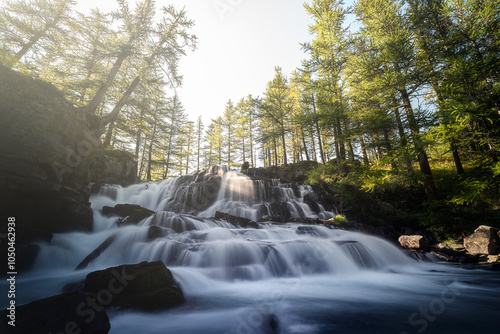 fraicheur au milieu des mélèze 