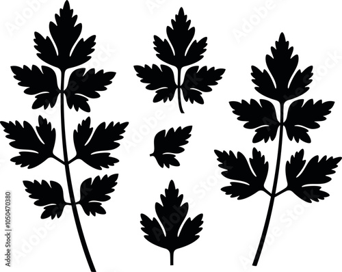 Parsley logo. Isolated parsley on white background