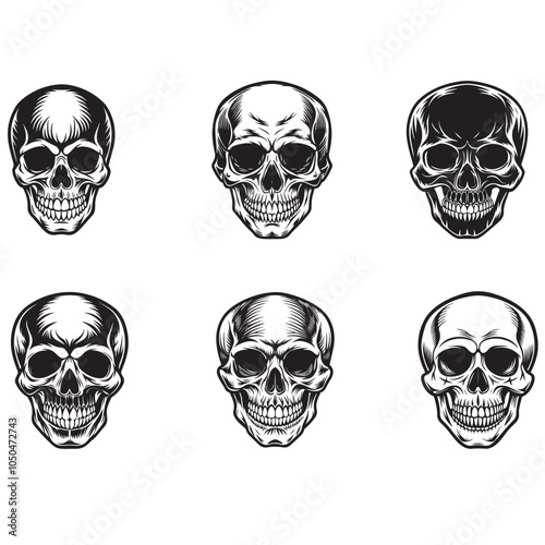 human skull vector silhouette