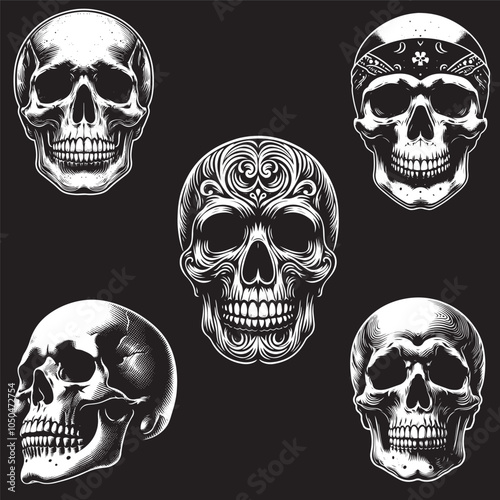 human skull vector silhouette