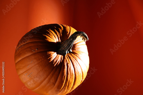 Zucca arancio, isolata su fondo arancio photo