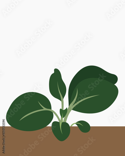 Small plant with green leaves and branches, illustration