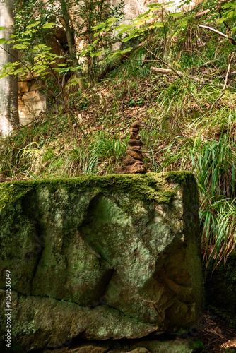 moss covered rocks