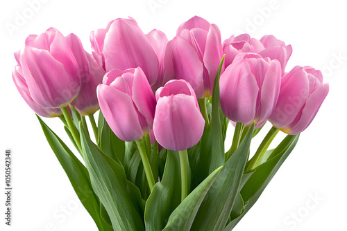 Beautiful Pink Tulip Bouquet