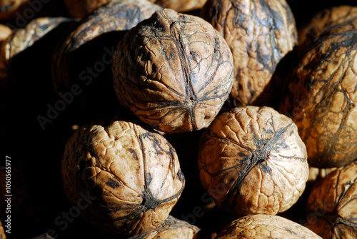 Detail of a group of walnut...