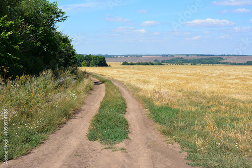 a dirt road is leading to a field of wheat with a valley in the background 