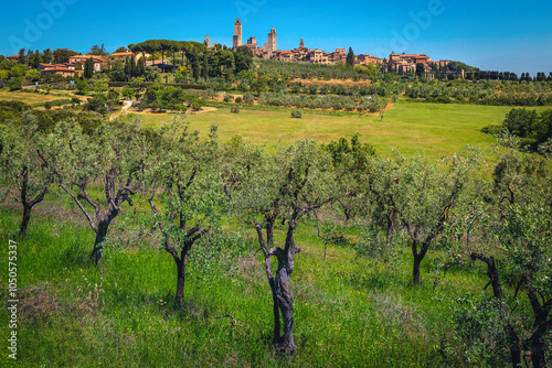 Amazing San Gimignano view from the olive trees Tuscany, Italy