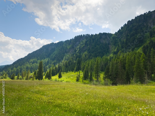 A view of Val Duron near Campitello di Fassa - Val di Fassa - Italy photo