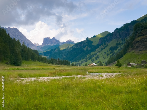 A view of Val Duron near Campitello di Fassa - Val di Fassa - Italy photo