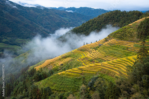 Terraced rice fields, Longshen near Guilin, Guangxi Province, People's Republic of China -  Clouds covered rice fields and hills in the foreground photo