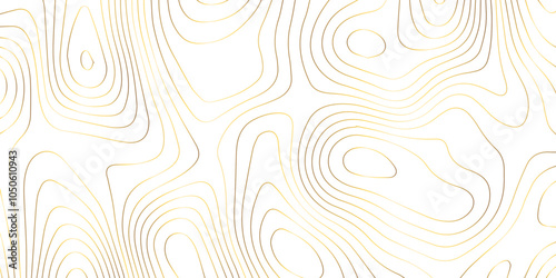 Abstract wave paper curved reliefs background .gradient multicolor wave curve lines banner background design .topographic contours map background .Vector geographic contour map.	