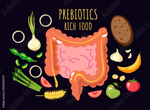 Probiotic fermented rich food vector infographics concept. Vector cartoon graphic design element illustration