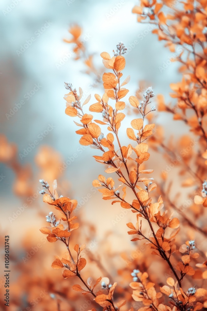Golden Autumn Leaves: Delicate Branches in Nature Golden Autumn Leaves: Delicate Branches in Nature