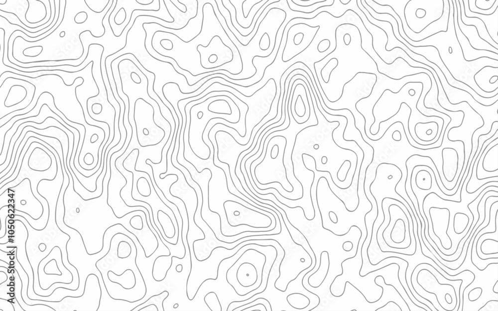 Fototapeta premium Topography background. Vector banner. Topography map background.