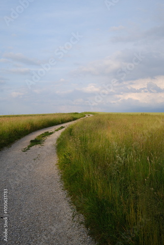 Kiesweg durch grüne Wiesenlandschaft bei Zürich, umgeben von ruhiger Natur und leicht bewölktem Himmel. Ideal für Themen wie Wandern, Natur und Entspannung. photo