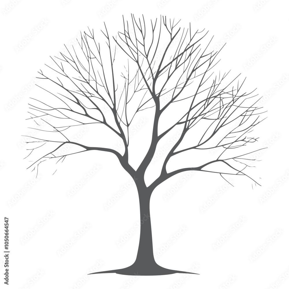 Detailed tree silhouette Isolated on a white background Detailed tree silhouette Isolated on a white background