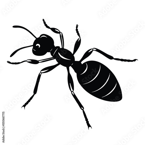 An Ant silhouette vector with a white background