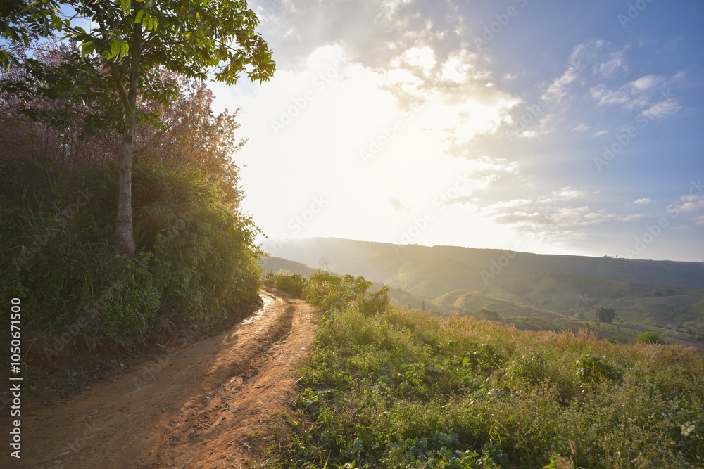 path in the mountain with sunshine path in the mountain with sunshine