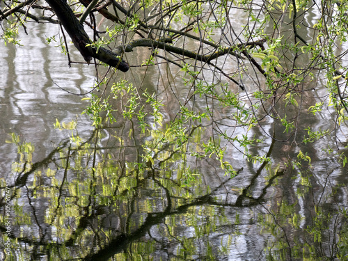 Still life at the Merzdorfer Pond in Riesa (Saxony, Germany) photo