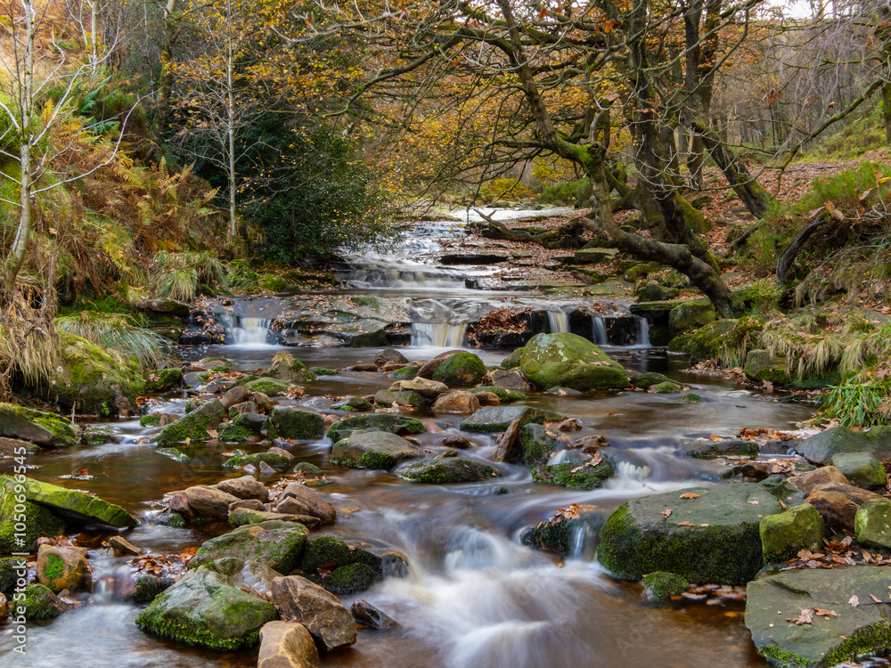 Beautiful autumn landscape of the peak district with an ancient woodland river, overcast stormy sky and old oak forest moorlands