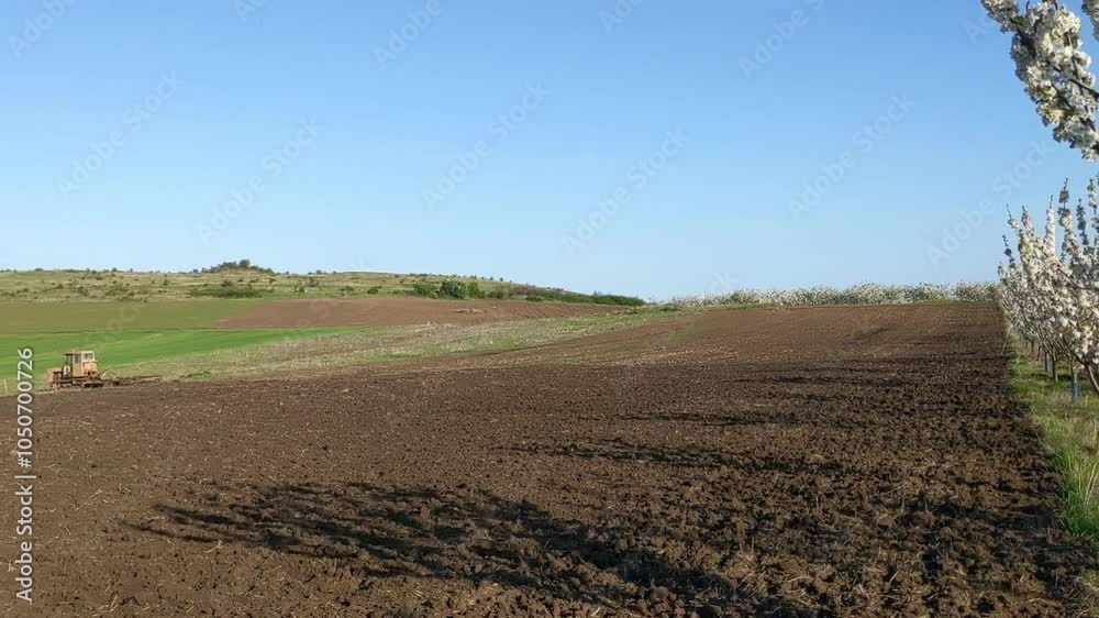 A view of a blooming cherry orchard and freshly plowed field in early spring. The trees are covered in delicate pink blossoms, while the soil of the field is rich and dark, ready for planting. A view of a blooming cherry orchard and freshly plowed field in early spring. The trees are covered in delicate pink blossoms, while the soil of the field is rich and dark, ready for planting.