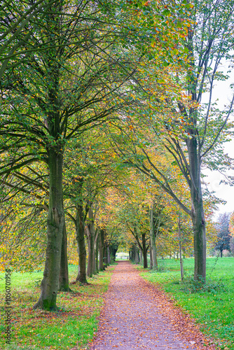 Walking path in recreation park Gouwebos between Waddinxveen and Boskoop on a beautiful autumn day in October.