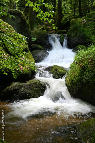 Gertelbachfaelle im Schwarzwald