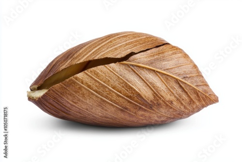 A cracked walnut shell with visible texture and shape, isolated to showcase its rustic, organic form photo