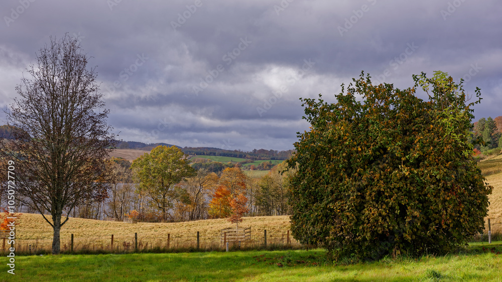 Loch Clunie viewed through the Trees and fields from Wester Tullneddie Cottage with the Sun casting shadows beneath the clouds. Loch Clunie viewed through the Trees and fields from Wester Tullneddie Cottage with the Sun casting shadows beneath the clouds.