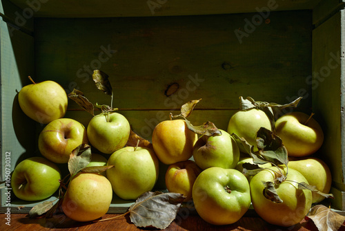 Ripe organic grown apples with leaves in wooden box in bright sunlight with copyspace. Natural fruit from garden concept image.