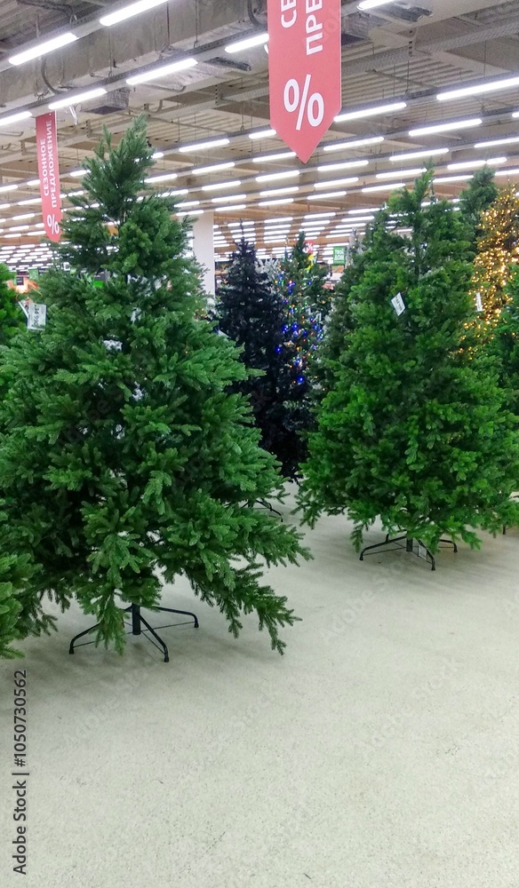 Christmas trees displayed in a store for holiday season sale. Christmas trees displayed in a store for holiday season sale.