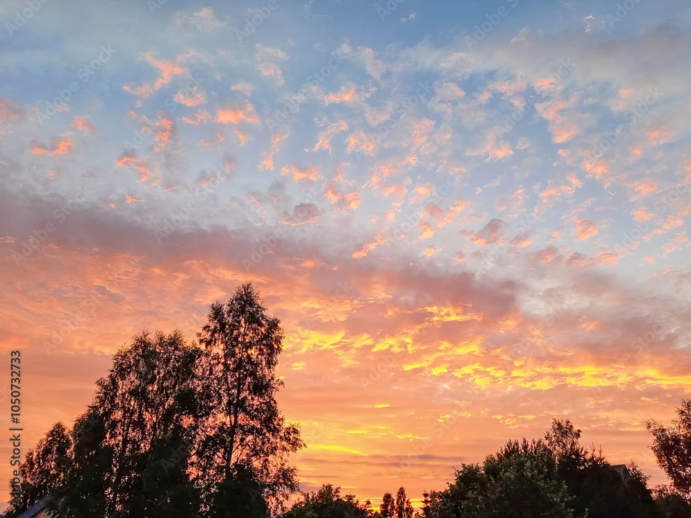 Fototapeta premium Beautiful sunset sky with vibrant colors and silhouettes of trees.