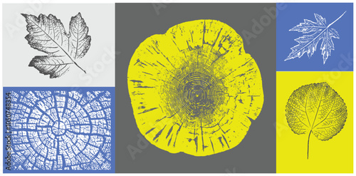 Yellow and gray wood rings pattern and leaf art. Detailed outlines of botanical species of tree and leaves.
