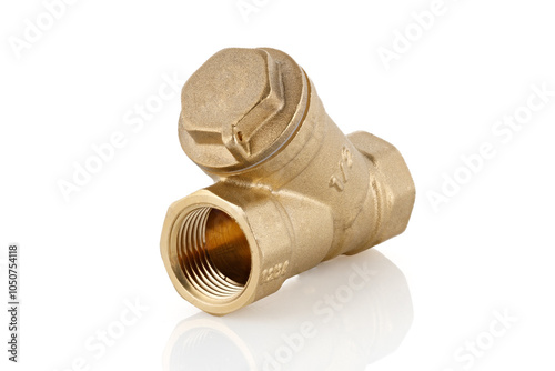 Wallpaper Mural Coarse water filter for plumbing works, material - brass. Full depth of field. Torontodigital.ca