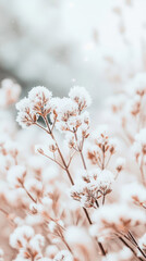 Papier peint photo  Delicate snow covered flowers create serene winter scene, showcasing natures beauty in frosty landscape. soft colors and gentle details evoke sense of tranquility and wonder  © Naree