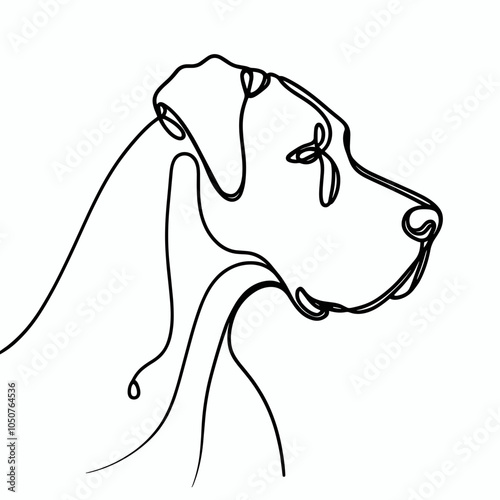 Great Dane dog