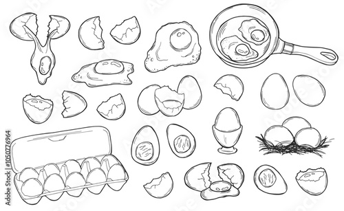 Fresh and boiled eggs, outline icons. Simple engraving broken chicken and quail eggs with cracked eggshell, in cardboard box, drawn boiled eggs half and slices vector illustration. Sketches in doodle 