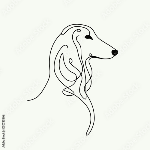 The Afghan Hound dog photo