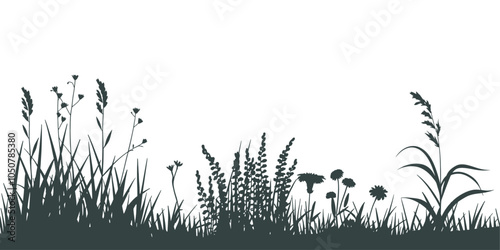 Grass and Flower Silhouettes with Transparent Background