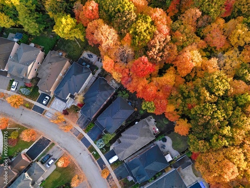 Aerial view of residential neighbourhood street surrounding by autumn fall colours trees in Canada