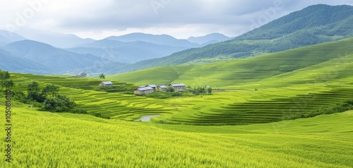 Regional autonomy shown through a scenic landscape with a small village promoting sustainable practices, cool color palette, serene mood, expansive background